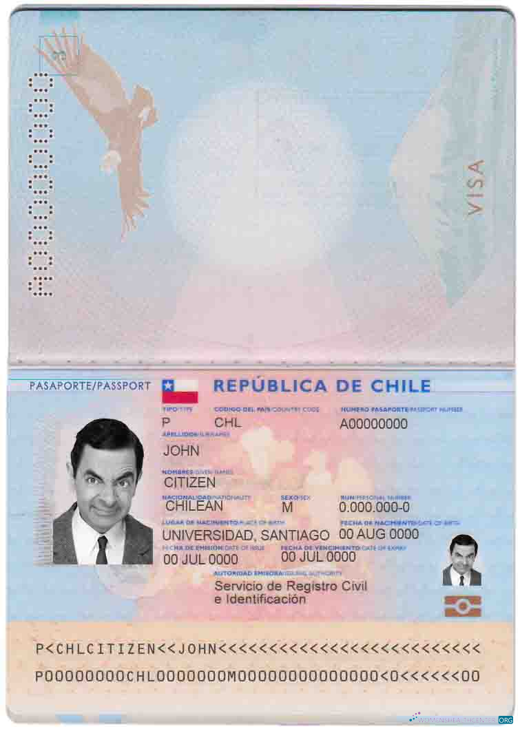 Angola LNG proof of address utility bill template in Word and PDF format